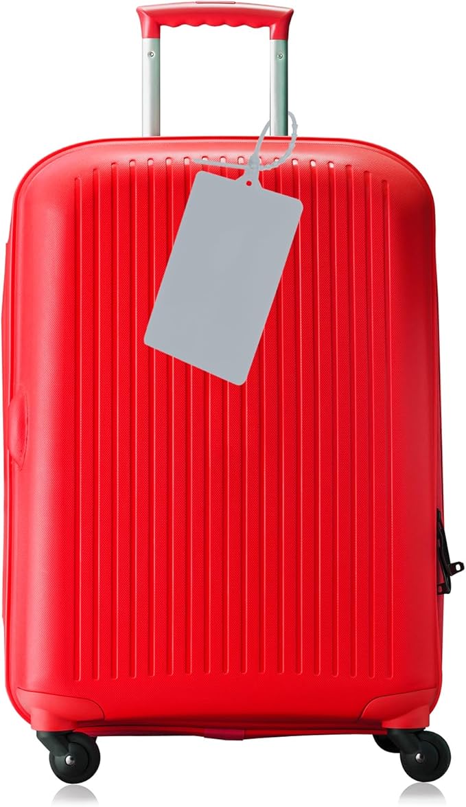 MECCANIXITY Plastic Seals Shipping Tags, for Basket Labels Cable Labels Tags Product Identification Tags, Logistics Marking, Outdoor Tagging, 3.1x3.9 Inch Gray 50Packs