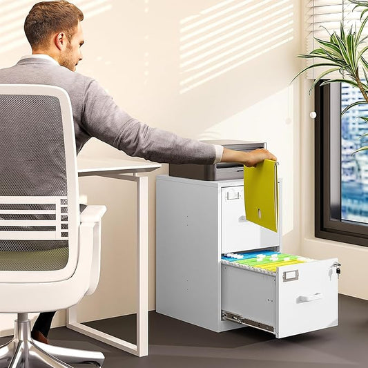 BYNSOE 2 Drawer File Cabinet with Lock Vertical Filing Storage Office Home Steel Vertical File Cabinets for Letter Size File Cabinet Locked,Assembly Required