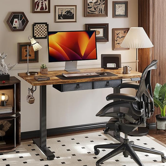 Agilestic Height Adjustable Desk with 2 Drawers, 55 x 24 Inches Electric Standing Desk, Stand up Computer Table with Memory Preset, for Work Office Home, Dark Brown