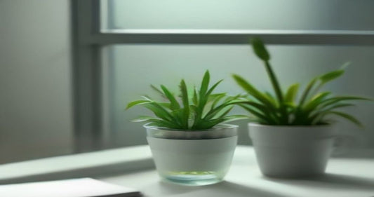 A clear desk by a softly lit window with a glass of water, a closed notebook, and potted green plants.