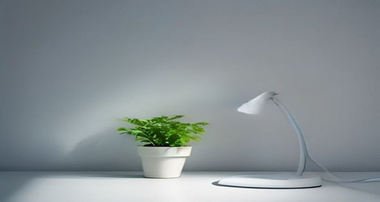 A white desk lamp and a small potted fern on a pale desk in soft side light.
