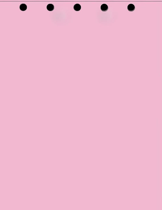 Limited Papers(TM) Writing and Copy Paper, Variation of Colors 8.5" x 11", 5 Hole Top-Punched, 20 Pound Text, 500 Sheets Per Ream. (2500, Pink)