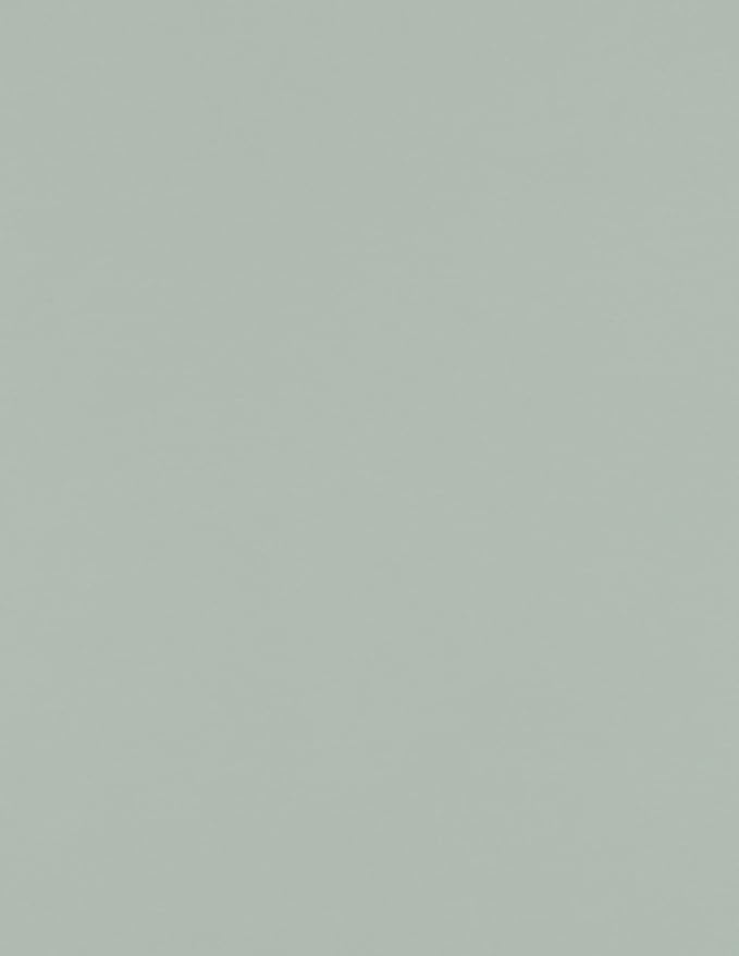 LUXPaper 8.5" x 11" Paper (Gray, Letter)