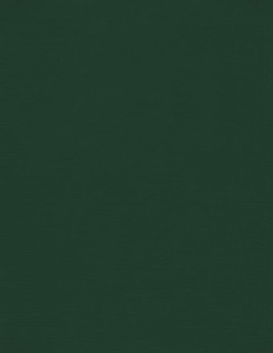 LUXPaper 8.5" x 11" Cardstock | Letter Size | Green Linen | 100lb. Cover (183lb. Text) | 250 Qty