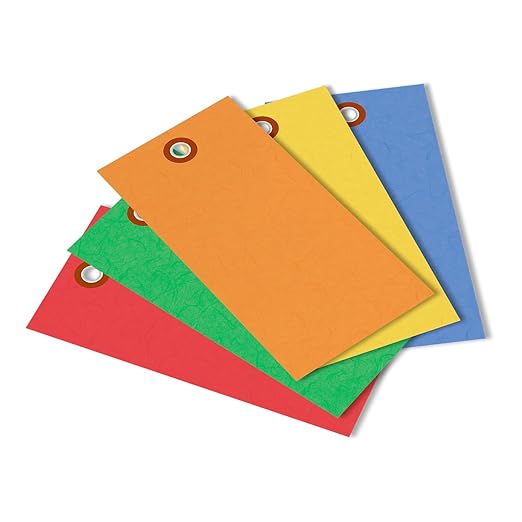 SmartSign (Pack of 100) 4.75 x 2.375 inch Multi Colored Blank Tyvek Shipping Tags with Metal Eyelets, Size #5, 8 mil Thick Tyvek