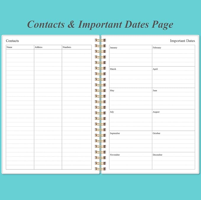 Daily Planner Undated (Teal, A5)