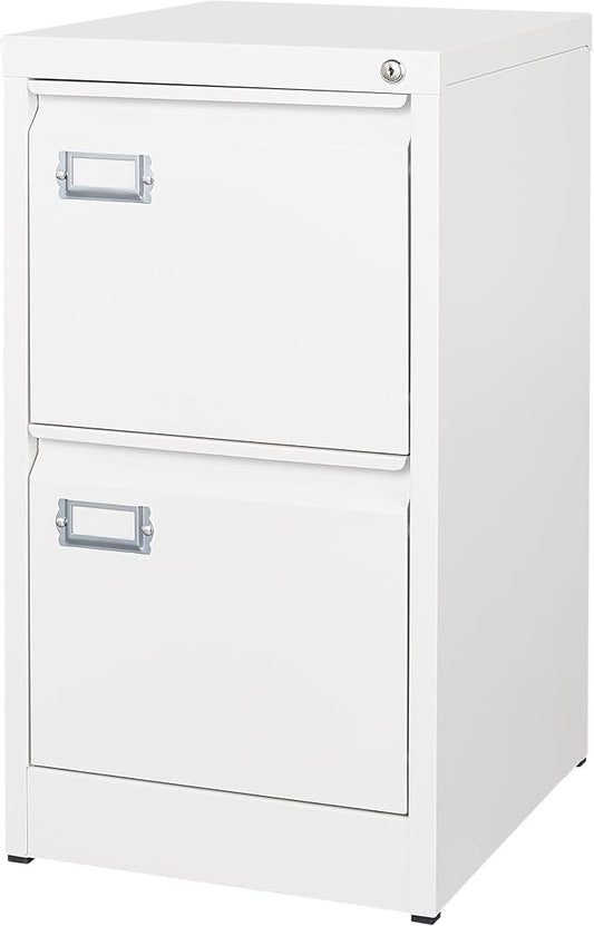 BYNSOE 2 Drawer File Cabinet with Lock Metal Vertical Filing Storage Cabinet Office Home Steel Vertical File Cabinets for A4 Legal/Letter Size Narrow File Cabinet Locked,Assembly Required