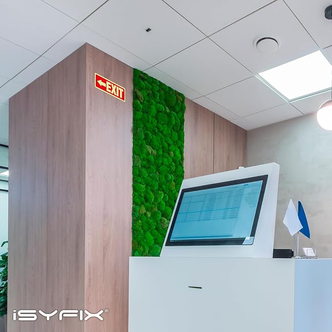 iSYFIX Exit Signs with Directional Left Arrow, Glow in the Dark, Photoluminescent Aluminum 12x4 Inch - 2 Pack, Laminated for UV & Weather Resistance, Ideal for Offices, Schools, Theaters & More