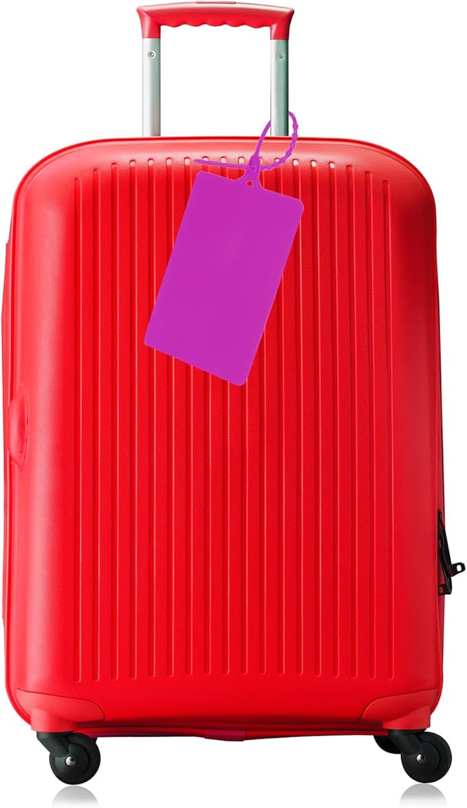 MECCANIXITY Plastic Seals Shipping Tags, for Basket Labels Cable Labels Tags Product Identification Tags, Logistics Marking, Outdoor Tagging, 3.1x3.9 Inch Purple 100Packs