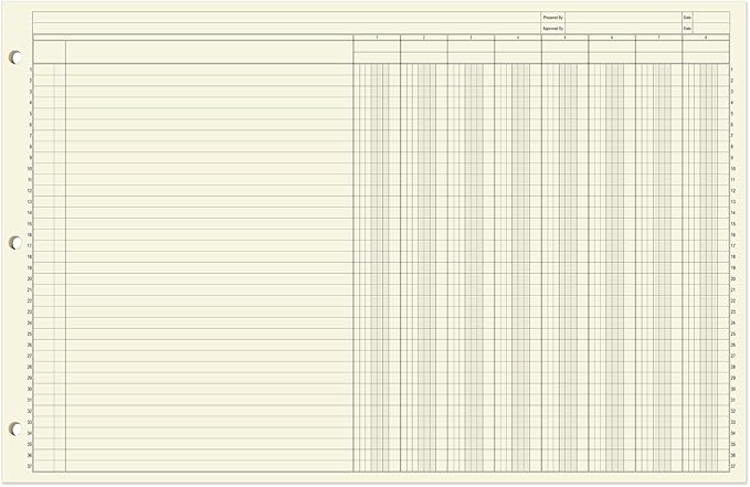 BookFactory Ledger Sheets/Large 8 Column Accounting Ledger Columnar (Eight Columns) Loose Leaf Paper - 17'' x 11'', 50 Pages, Loose Leaf, 3 Hole Punched (Made in USA)